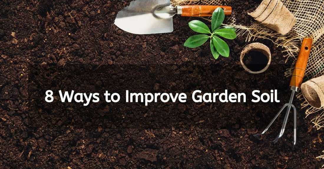 8 Ways to Improve Garden Soil