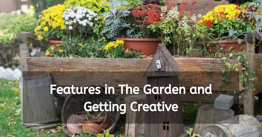 Features in The Garden and Getting Creative