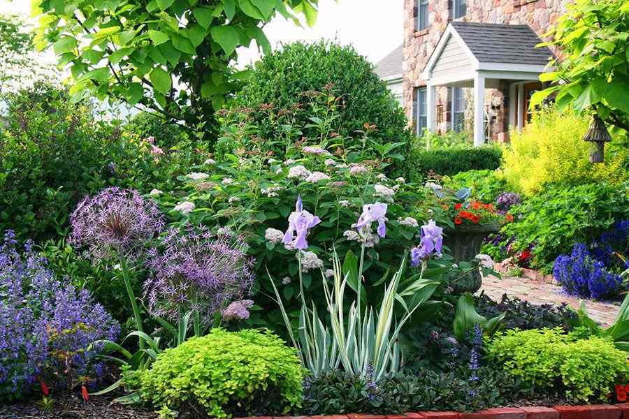 Summer Garden Tips with Purelifebag